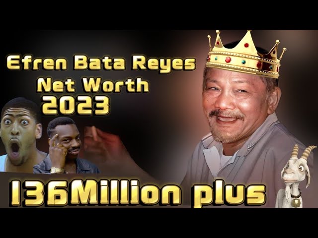 Efren Reyes Net Worth