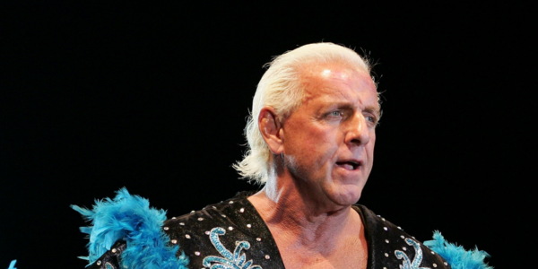 Wrestler Ric Flair Net Worth